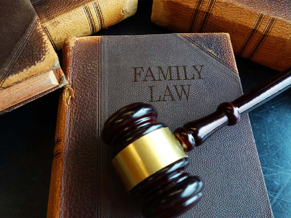 A gavel on top of a family law book